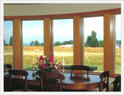 Home Window
